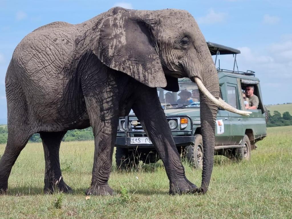 Sekenani Maasai Mara Safari Camp In Kenya B&B 외부 사진